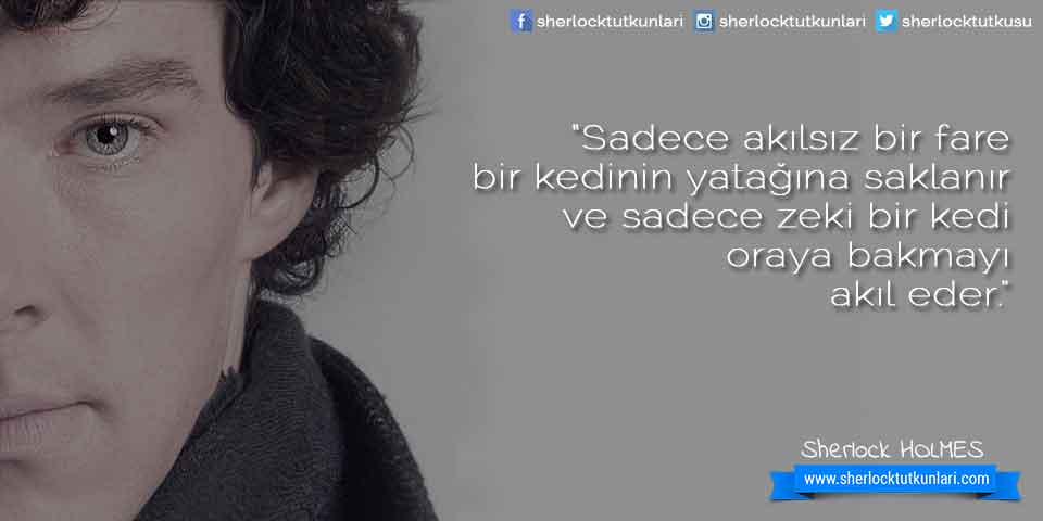 “Sadece akılsız bir farebir kedinin yatağına saklanırve sadece zeki bir kedioraya bakmayıakıl eder.”